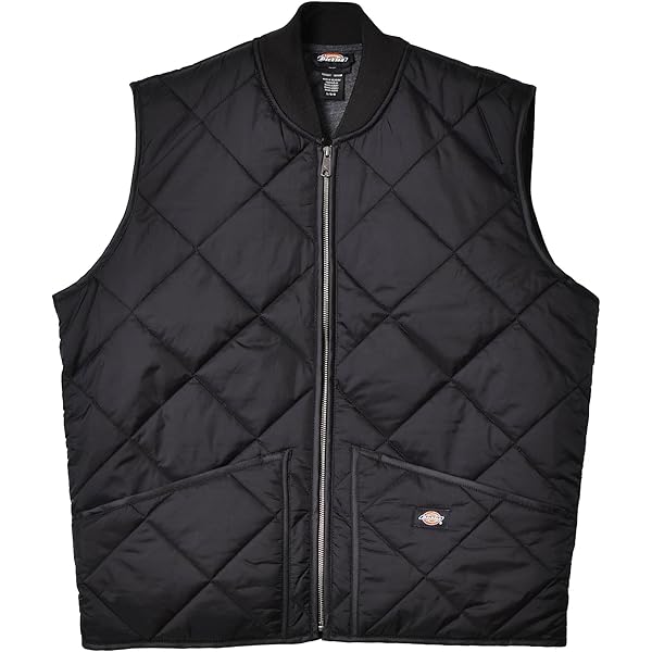 Amazon | Carhartt メンズ ビッグ&トールサイズダックベスト